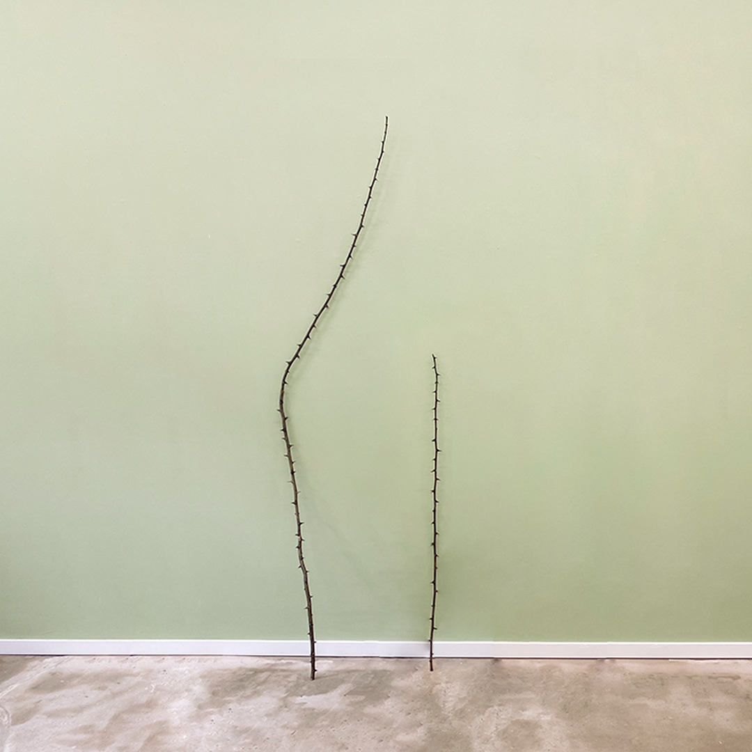 News of Reuter Bausch Art Gallery Letizia Romanini's